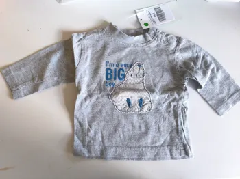 311761 tee-shirt ML gris garçon  3 mois