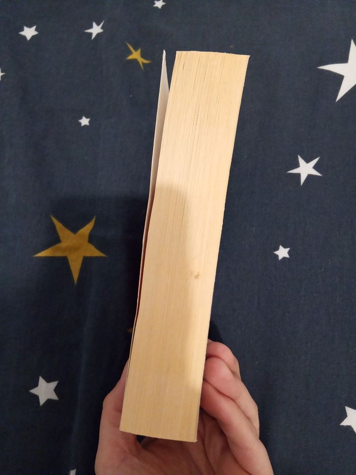 Livre (73) 📚 Le symbole perdu - photo numéro 4