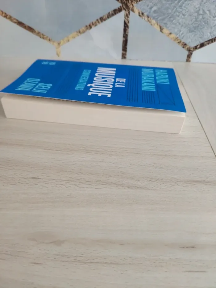 Livre poche de la musique conversations Murakami Ozawa - photo numéro 5
