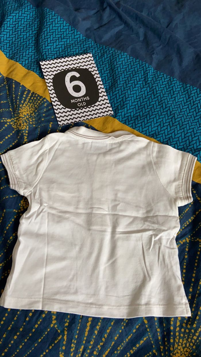 Polo 6 mois 67cm - photo numéro 2
