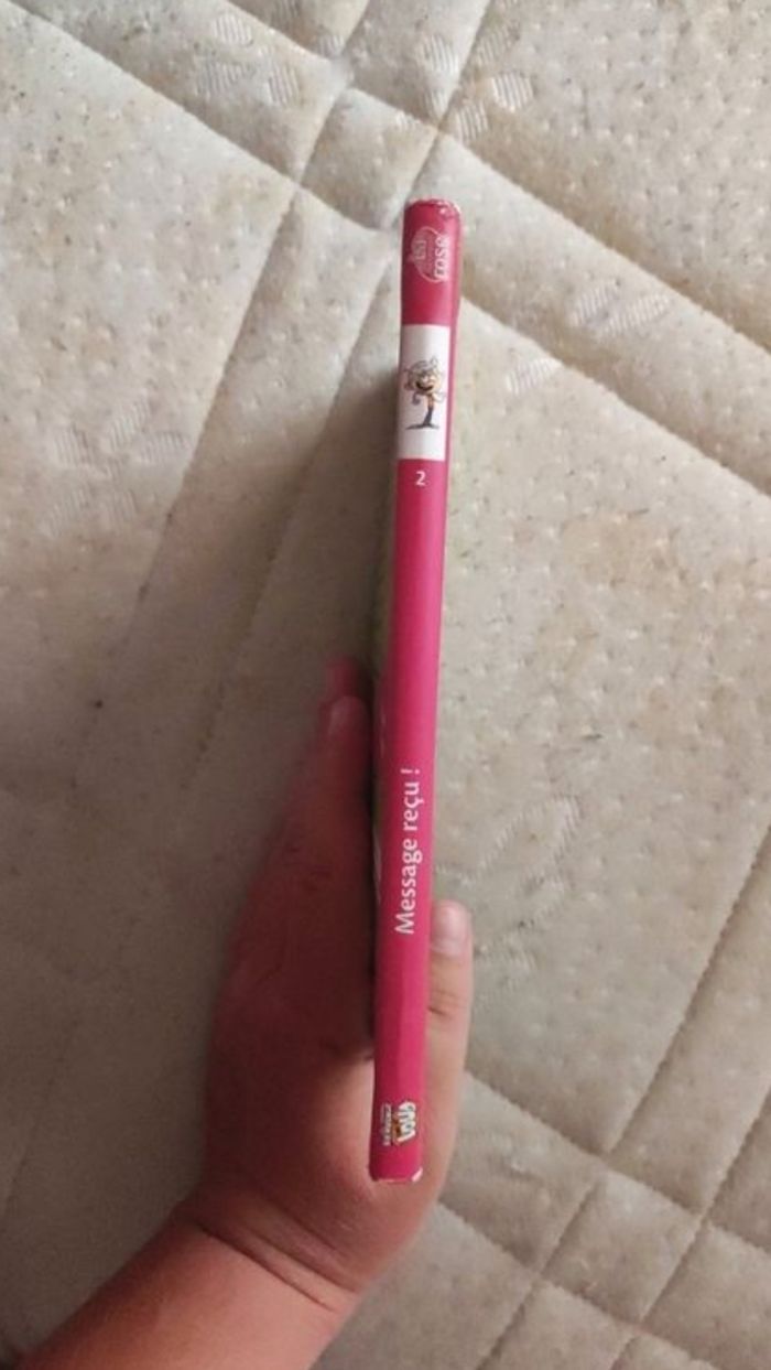 livre bienvenue chez les loud tome 2 - photo numéro 2