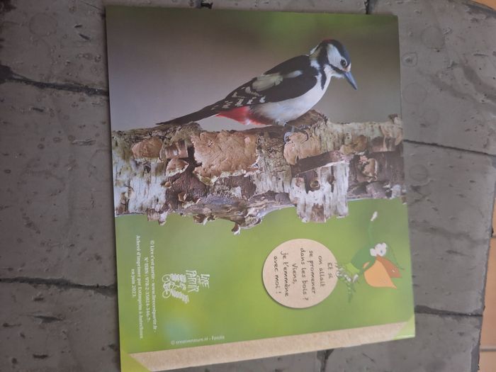 Livre En forêt avec la fée Danaé - photo numéro 2