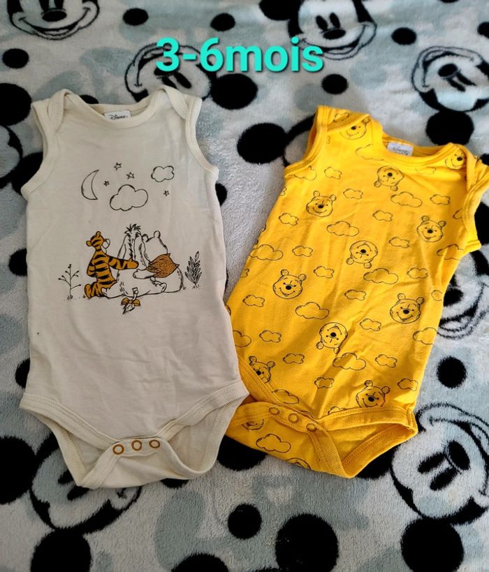 Body winnie x2