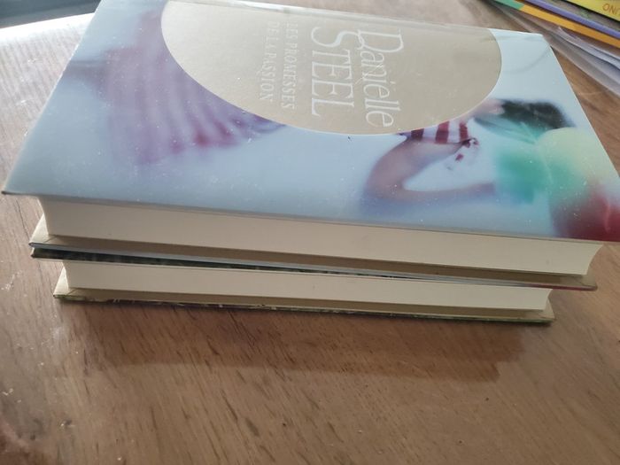 Lot de 2 livres de Danielle Steel - photo numéro 3