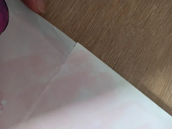 Papier à lettre Diddl édition France 0,50€ - photo numéro 2