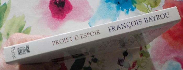 Projet d'espoir par François Bayrou Ed. Plon - photo numéro 3