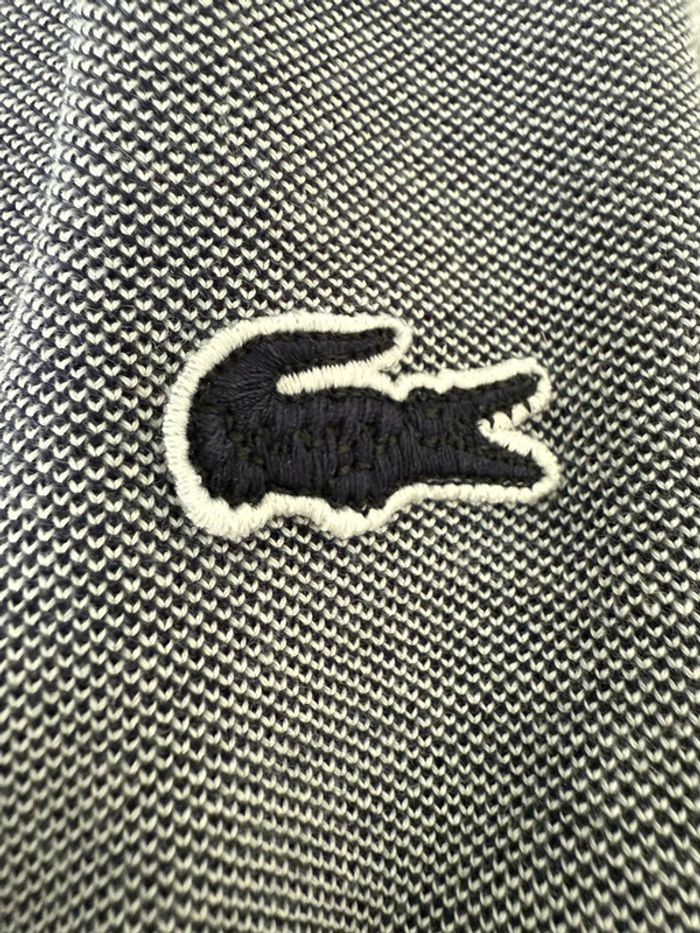 Polo Lacoste T3 - photo numéro 3