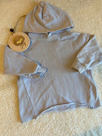 Pulls mixte Zara avec capuche