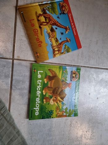 Lot  2 livres la girafe et le triceratops