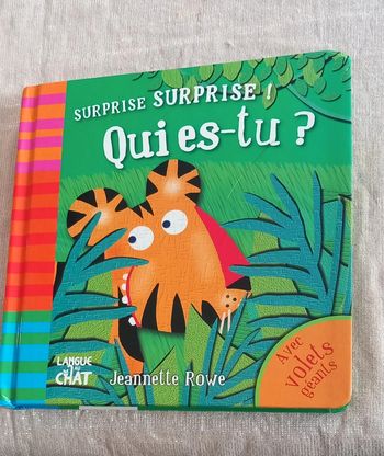 Surprise surprise Qui es tu ?