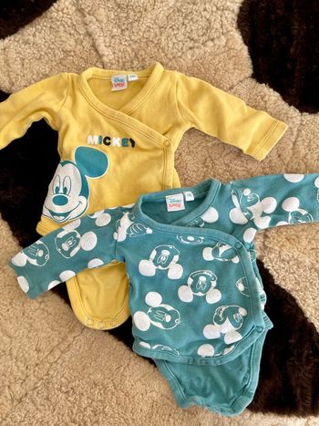 Lot 2 bodies Mickey