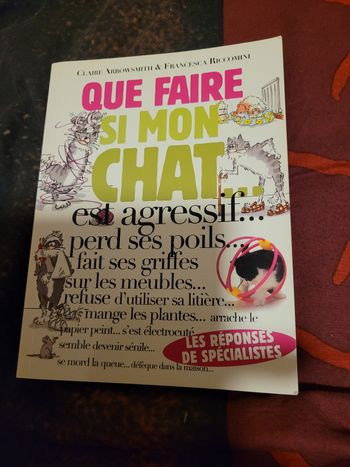 Que faire si mon chat est agressif perd ses poils..