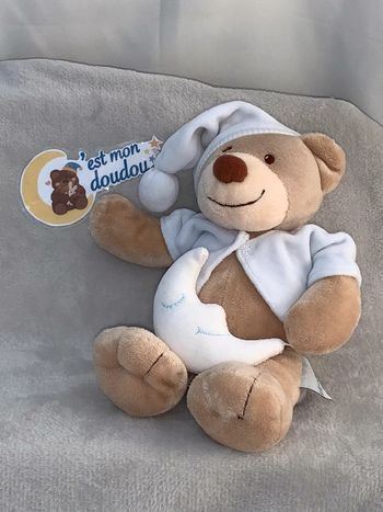 NT41 doudou ours nattou