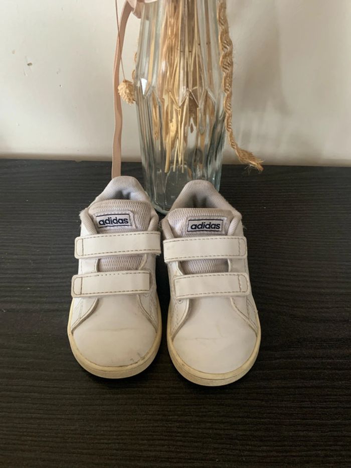 Tennis Stan Smith 21