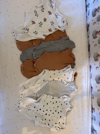 Lot 7 bodies manches courtes