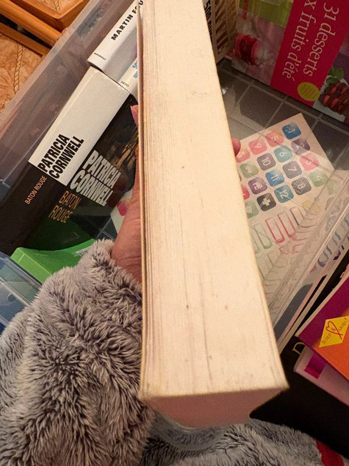 Comment je suis devenue célèbre - photo numéro 5