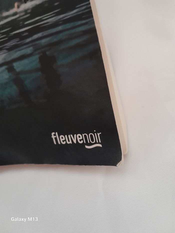 Les cinq règles du mensonge Ruth Ware - photo numéro 2