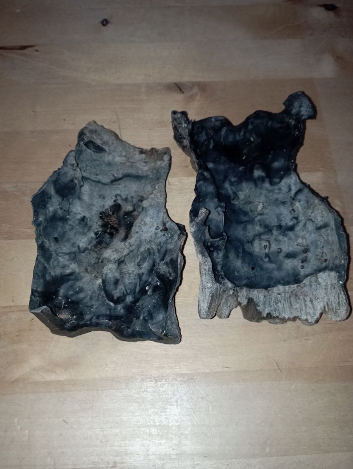 Décoration de terrarium - photo numéro 4