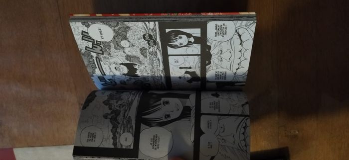Manga neuf one piece - photo numéro 2