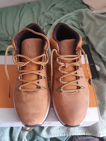 Chaussures hommes TIMBERLAND