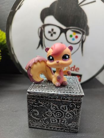 Lps01076 My Littlest Petshop Lps Pet Shop Chipmuk Squirrel Shunk Écureuil 1601