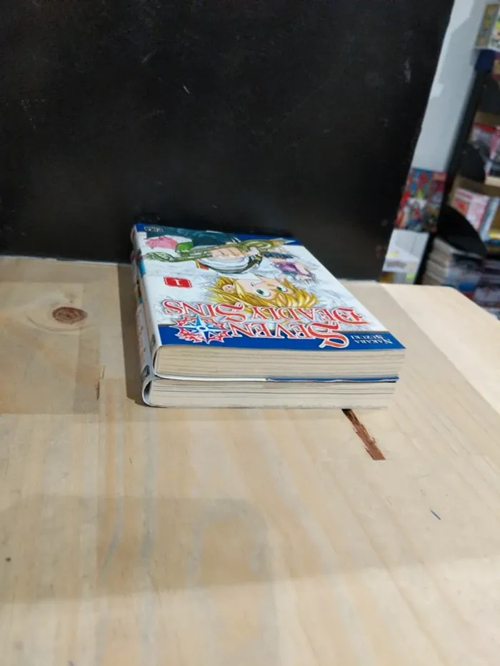 Seven Deadly Sins – Tomes 1 & 2 - photo numéro 4