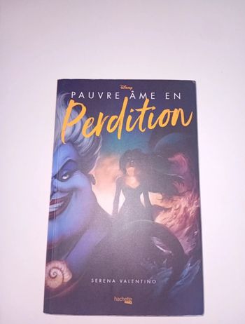 Livre pauvre âme en perdiction disney