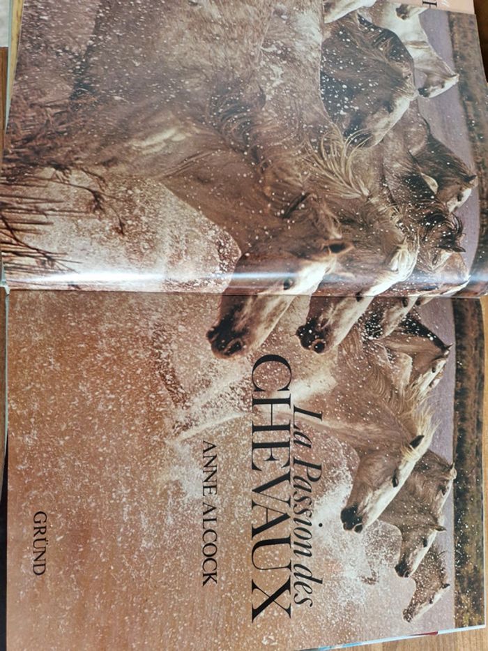 Livre la passion des chevaux - photo numéro 4