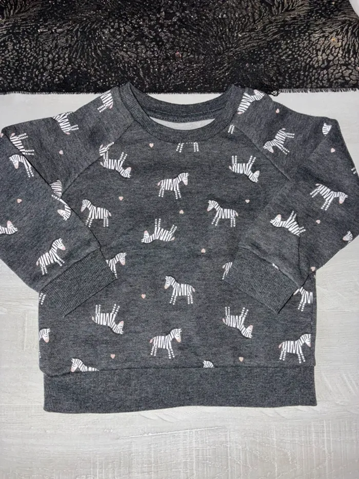 Pull zèbre