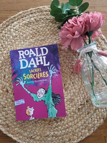 🌸Livre " Sacrées sorcières " de Roald Dahl à partir de 9 ans