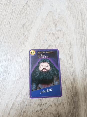 Carte à collectionner Harry Potter
