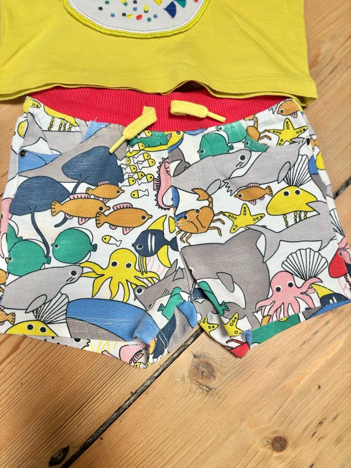 Ensemble - photo numéro 2