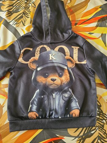 Pull capuche