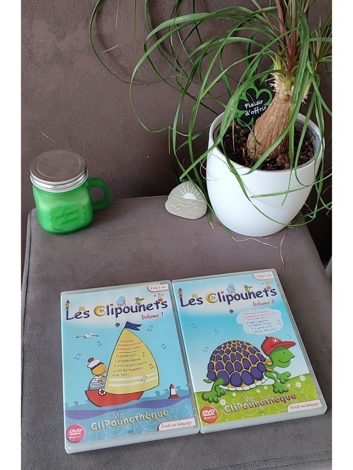 Lot 2 DVD musicaux les clipounets - photo numéro 1