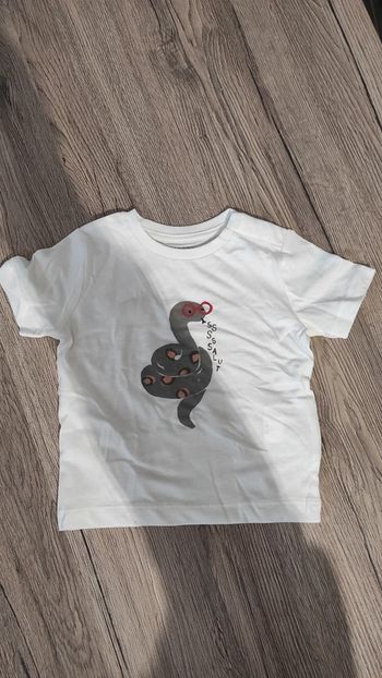 Tee shirt bébé garçon, Bout'chou, 9 mois