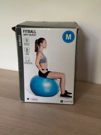 FitBall Domyos