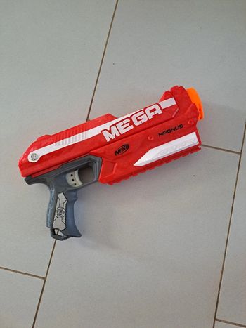 Nerf magnus