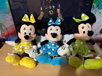 Lot 3 Minnie
