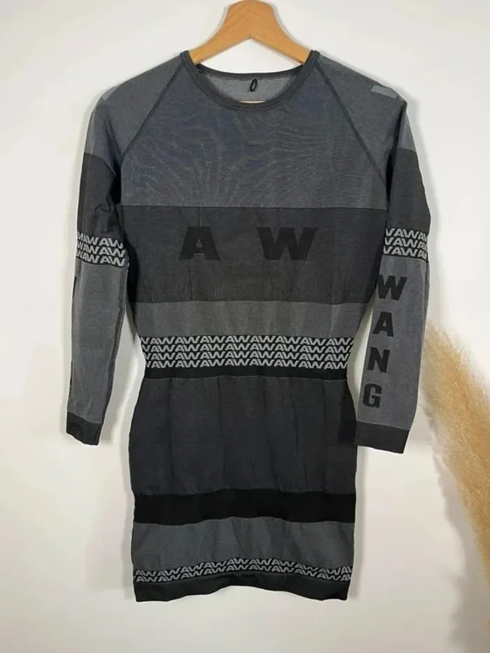 Robe grise Alexander Wang x H&QL