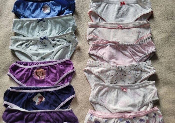 Lot de 19 culottes 4- 5 ans - photo numéro 3