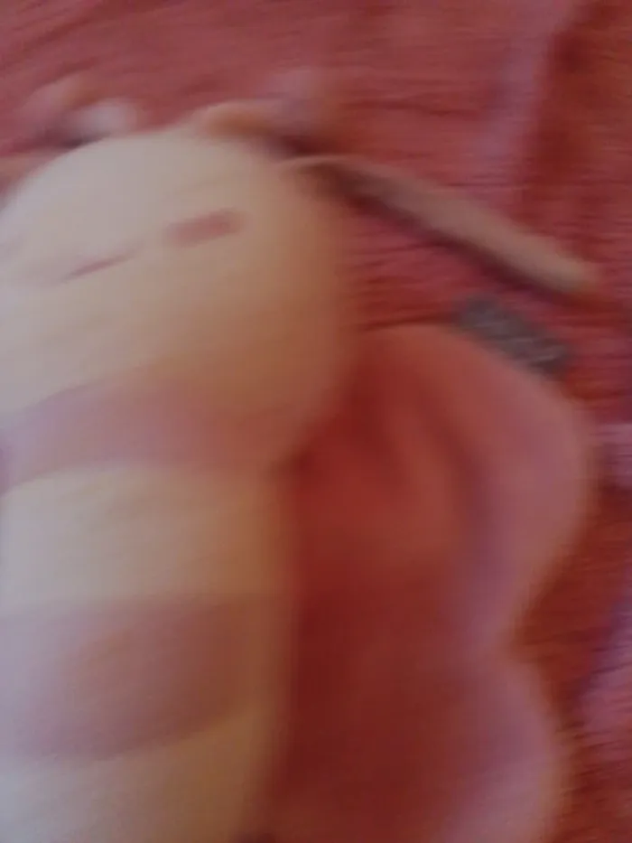 Peluche - photo numéro 2