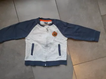 Veste