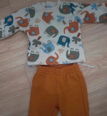 Ensemble elephant