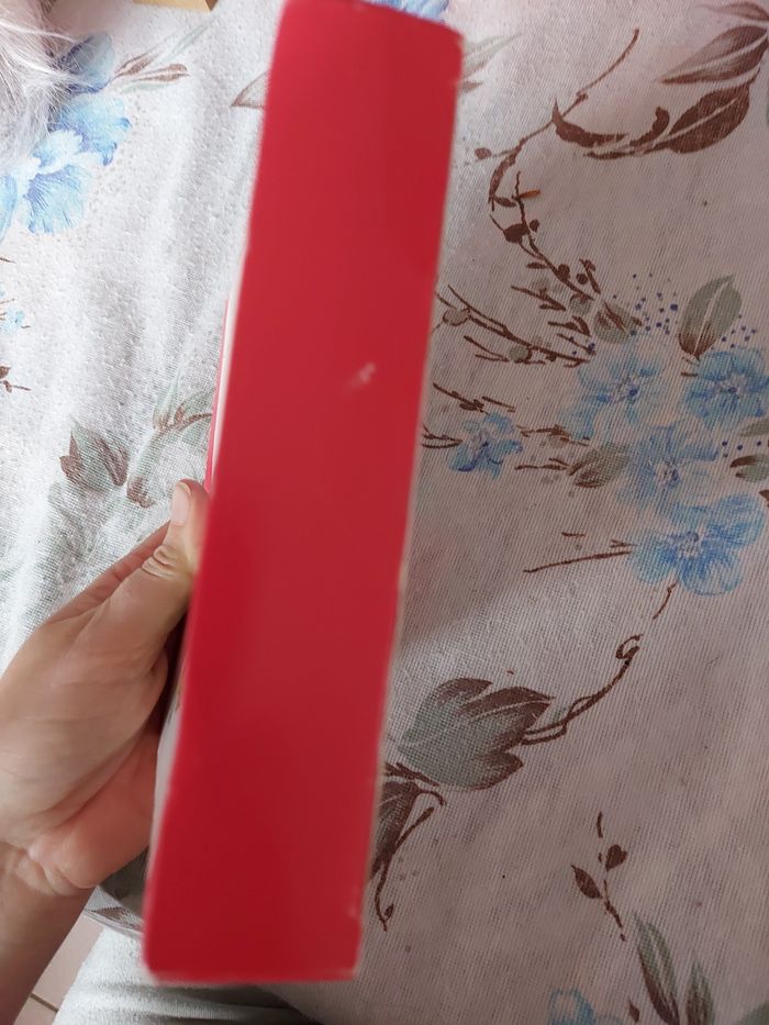 Kit suspensions sapin DIY - photo numéro 4