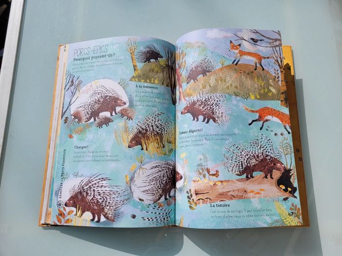 Grand livre 🐆 Nos Incroyables Bêtes Sauvages 🦥 - photo numéro 10