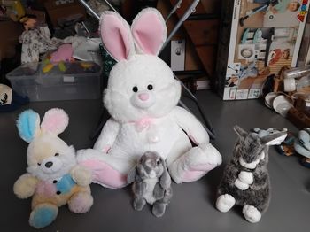 4 peluches lapin 