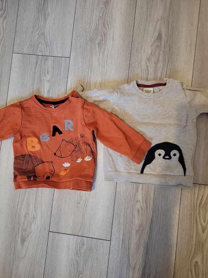 Lot de 2 pulls taille 18 mois