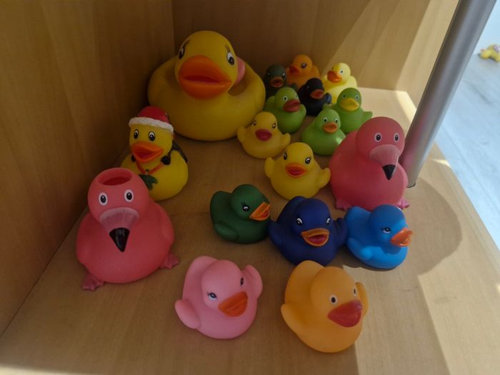 Lot de canard en plastique