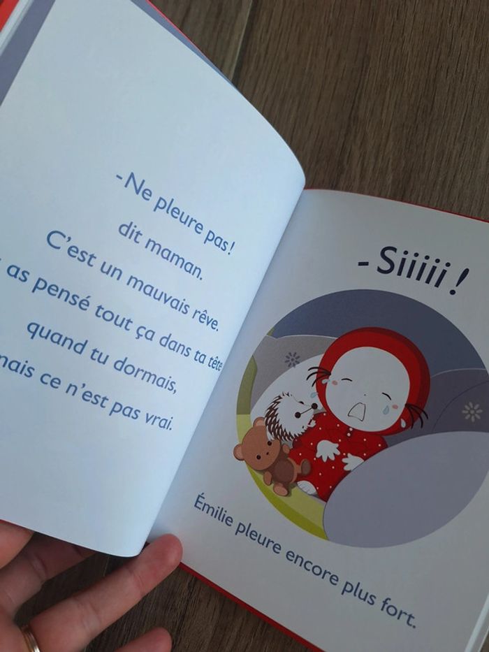 Livre emilie - photo numéro 2