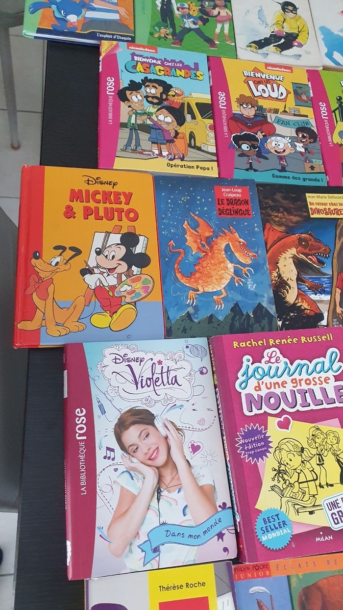 Divers livres pour les 6/12 ans - photo numéro 4